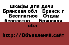 шкафы для дачи - Брянская обл., Брянск г. Бесплатное » Отдам бесплатно   . Брянская обл.